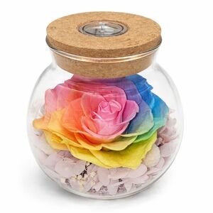 Rainbow Rose Glass Jar with Cork Lid
